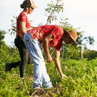 Woman and man harvesting in farm Maria Brazil Cerrado 2