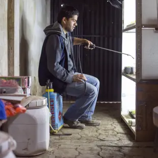 Man watering plants 151206 097